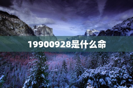 19900928是什么命