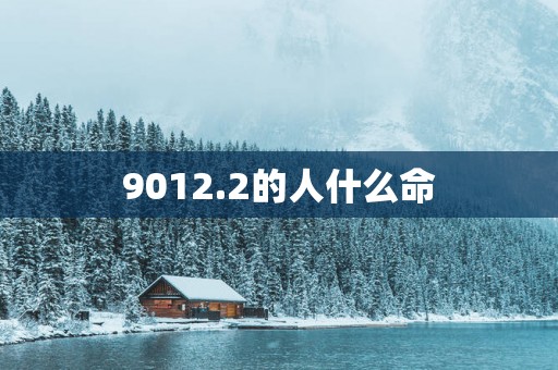9012.2的人什么命