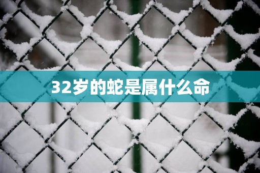 32岁的蛇是属什么命