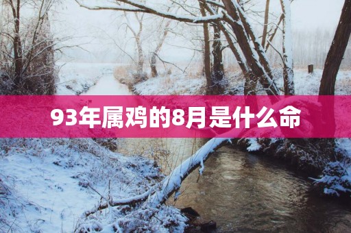 93年属鸡的8月是什么命