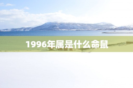 1996年属是什么命鼠