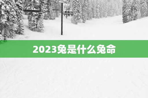 2025兔是什么兔命