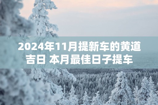 2025年11月提新车的黄道吉日 本月最佳日子提车