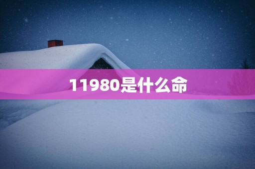 11980是什么命