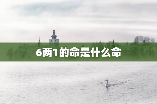 6两1的命是什么命