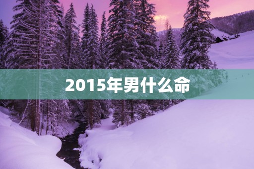 2015年男什么命