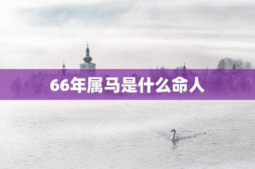 66年属马是什么命人