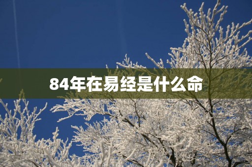 84年在易经是什么命