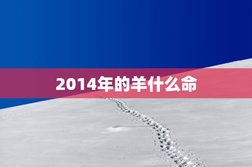2014年的羊什么命