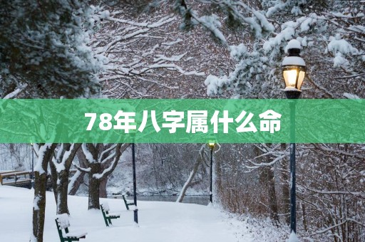 78年八字属什么命