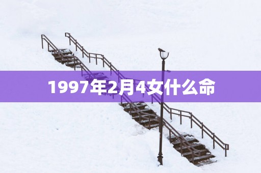 1997年2月4女什么命