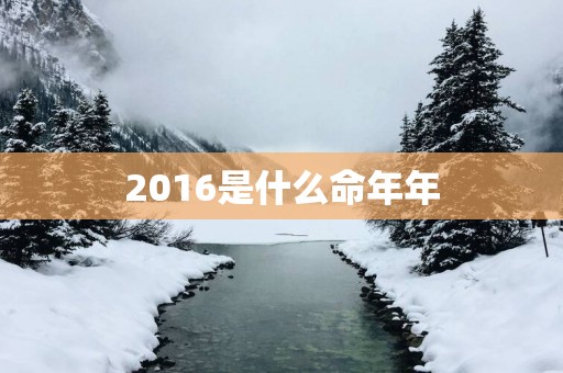 2016是什么命年年