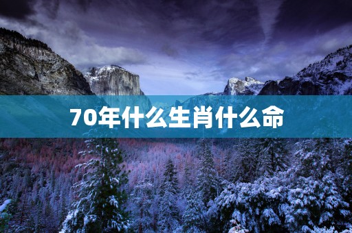 70年什么生肖什么命