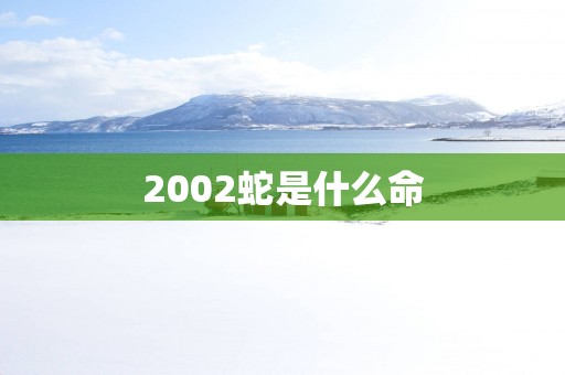 2002蛇是什么命