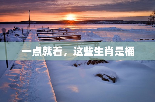 一点就着，这些生肖是桶