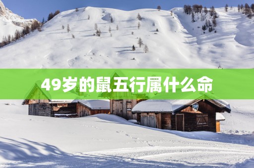 49岁的鼠五行属什么命