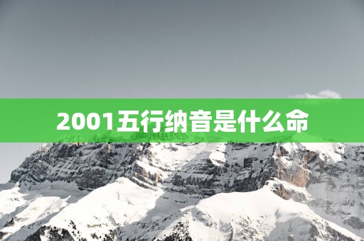 2001五行纳音是什么命