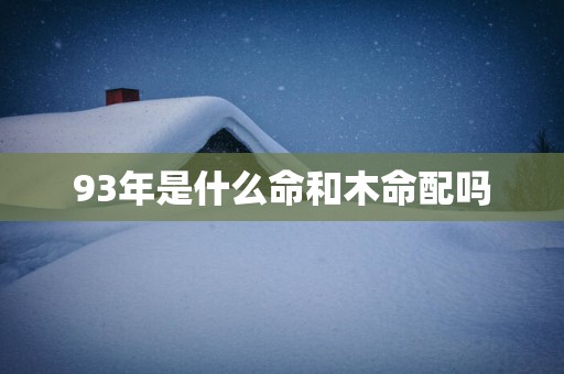93年是什么命和木命配吗
