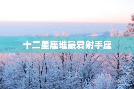 十二星座谁最爱射手座