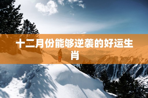 十二月份能够逆袭的好运生肖