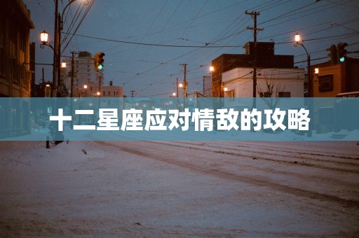 十二星座应对情敌的攻略