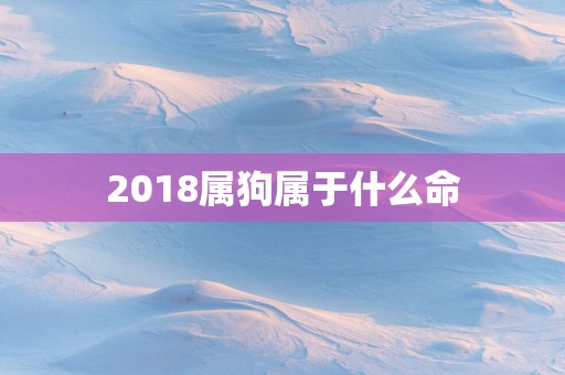 2018属狗属于什么命
