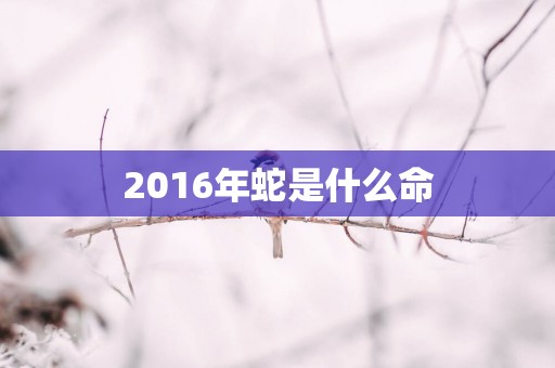 2016年蛇是什么命