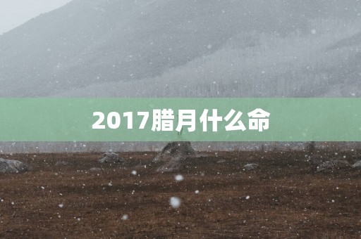 2017腊月什么命