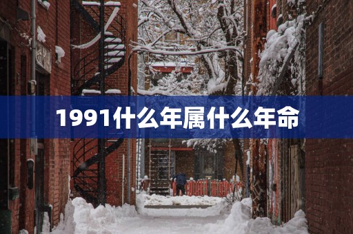 1991什么年属什么年命