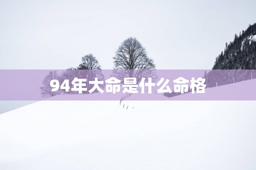 94年大命是什么命格