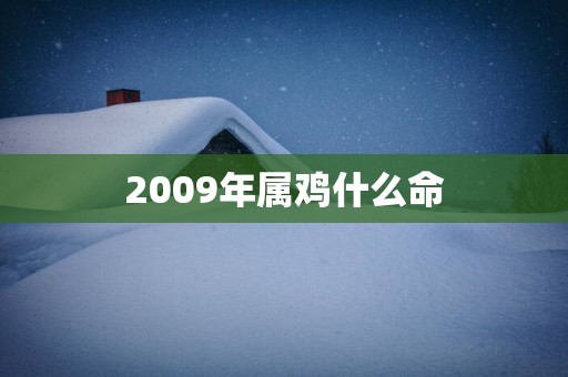2009年属鸡什么命