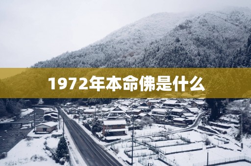 1972年本命佛是什么