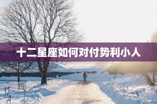 十二星座如何对付势利小人