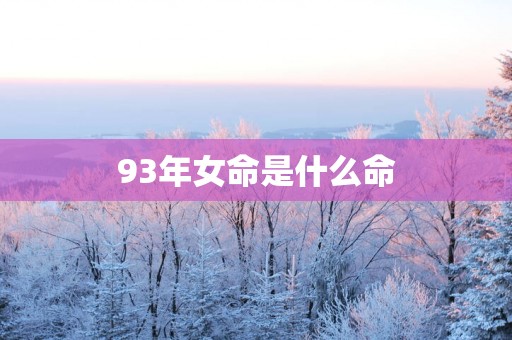93年女命是什么命