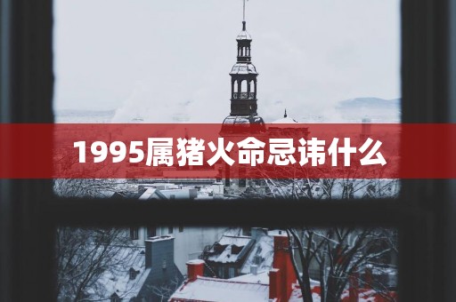 1995属猪火命忌讳什么