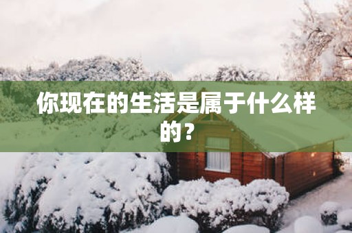 你现在的生活是属于什么样的？