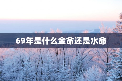 69年是什么金命还是水命