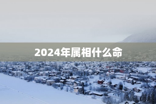2025年属相什么命