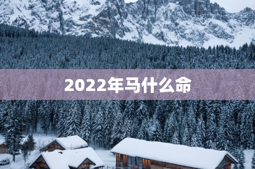2025年马什么命