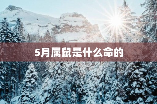 5月属鼠是什么命的