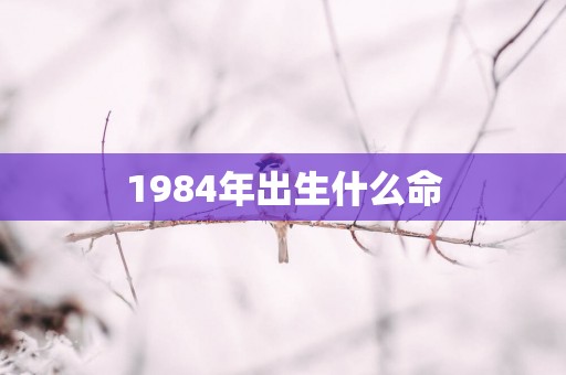 1984年出生什么命