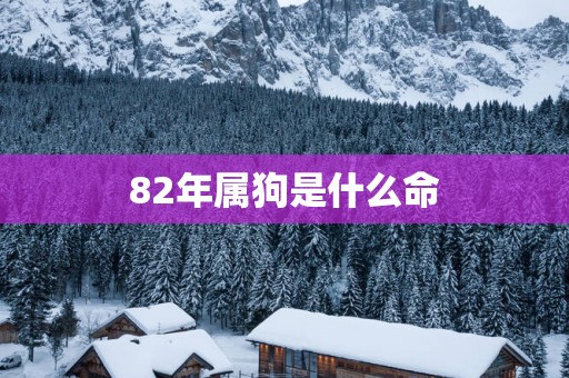 82年属狗是什么命