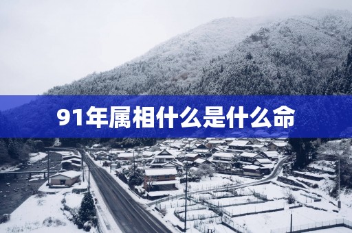 91年属相什么是什么命
