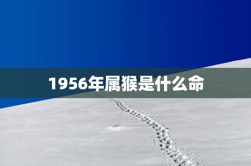 1956年属猴是什么命