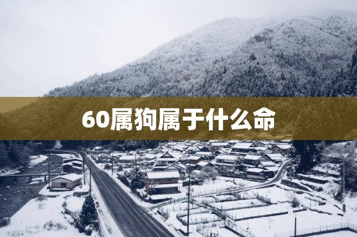 60属狗属于什么命
