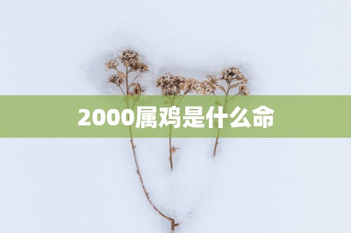 2000属鸡是什么命