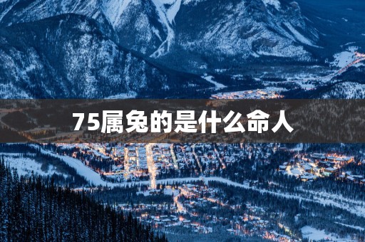75属兔的是什么命人