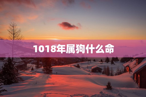 1018年属狗什么命