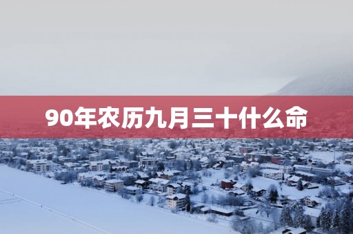 90年农历九月三十什么命