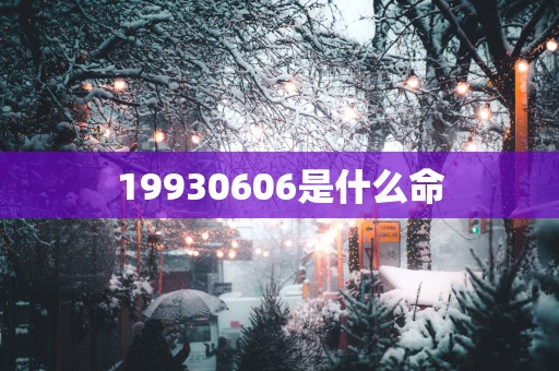 19930606是什么命